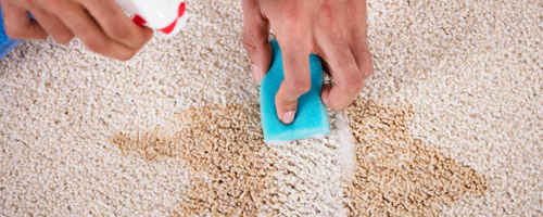 カーペット掃除