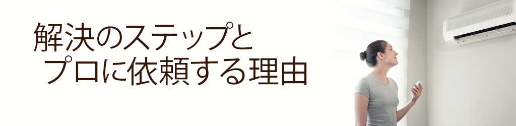 解決のステップとプロに依頼する理由