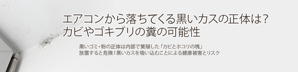 エアコンから落ちてくる黒いカスの正体は？カビやゴキブリの糞の可能性