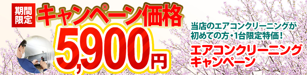 【期間限定】春のアレルギー対策5,900円キャンペーン